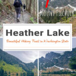 Heather Lake is a scenic 4.7-mile hike in Washington offering old-growth forest, wooden bridges, wildflowers, and a crystal-clear alpine lake near Mount Pilchuck.