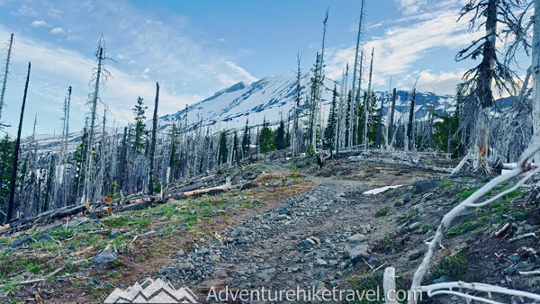 If you’re planning a spring splitboard trip in the PNW, don’t skip Mt. Adams. This post covers everything you need to know about reaching the Lunch Counter: distance, elevation, weather surprises, and what it’s like to ride down. Includes a full video and firsthand tips from the trail. #MtAdams #BackcountrySnowboard #WashingtonStateHikes #PNWSplitboarding #VolcanoAdventure