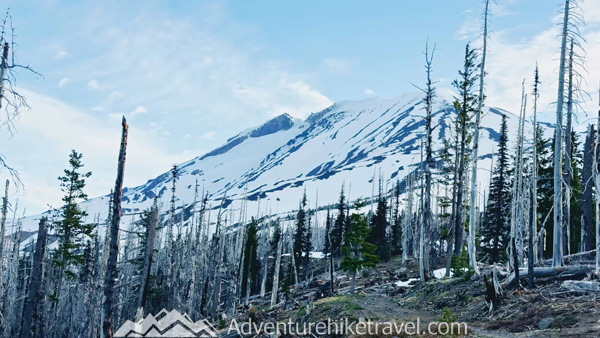 Splitboarding Mt. Adams is a true spring classic in the Pacific Northwest. This backcountry route to the Lunch Counter is full of adventure—rising winds, gear malfunctions, and incredible snow. If you’re planning a ride or just want a peek at the journey, check out this firsthand trip report, trail beta, and video recap. #MtAdams #BackcountryAdventure #SnowboardLife #SplitboardTrip #WashingtonHikes