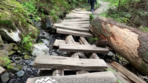 Hike Heather Lake for a perfect mix of forest serenity and alpine beauty—this moderate trail rewards you with waterfalls, wildflowers, and lake views in under 5 miles.
