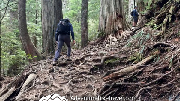 This short but scenic hike to Heather Lake winds through mossy forest, past waterfalls and wildflowers, to reveal a hidden alpine lake in the North Cascades.