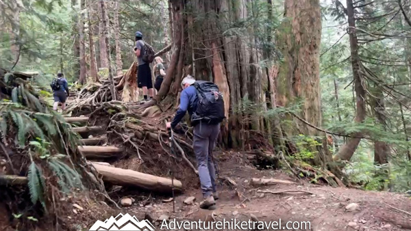 Heather Lake is a must-do hike for nature lovers, with a forested trail full of roots and rocks that leads to one of the North Cascades’ most beautiful alpine lakes.