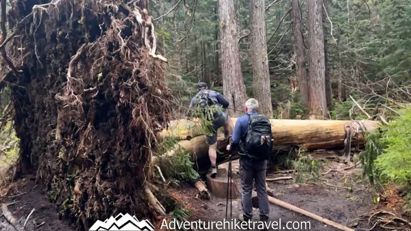 This 4.7-mile Washington trail leads to Heather Lake, where hikers are treated to wildflowers, waterfall crossings, and sweeping alpine lake views nestled below Mount Pilchuck.