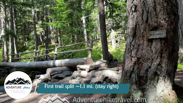 Upper Dungeness Trail 833