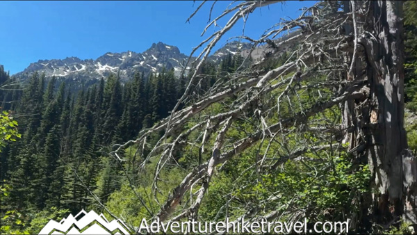 Trail to Lower Royal Lake — Olympic National Park