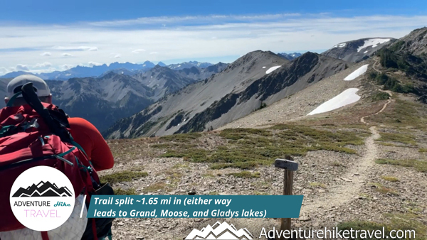 Trail split on the way to Moose Lake, marking the turnoff for the Moose Peak route in Olympic National Park
