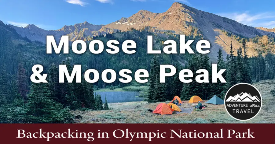 Planning a backpacking trip to Moose Lake & Moose Peak in Olympic National Park? This rugged route features alpine lakes, panoramic mountain views, wildflowers, and a challenging summit. Trail mileage, elevation gain, camping info, and route tips included.
