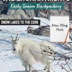 Get detailed trail information from our spring backpacking trip through the Enchantments via the Snow Lakes Trail to the Core Zone. This post covers mid-May trail conditions near Leavenworth, WA, including mileage, elevation gain, snow travel, route highlights, gear needed, and what conditions looked like above Snow Lakes during early season backpacking in Washington’s Alpine Lakes Wilderness.