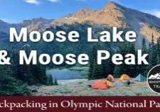 Planning a backpacking trip to Moose Lake & Moose Peak in Olympic National Park? This rugged route features alpine lakes, panoramic mountain views, wildflowers, and a challenging summit. Trail mileage, elevation gain, camping info, and route tips included.